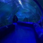 Акриловые панели 180 или 90 градусов для туннеля аквариума