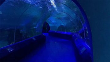 Акриловые панели 180 или 90 градусов для туннеля аквариума