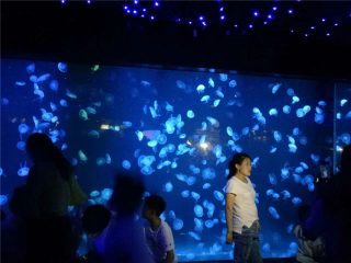2018 акриловая медуза аквариум стекло