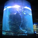 акриловый баллон большой аквариум для аквариумов или океан парк