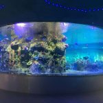 Завод поставляет аквариумы, круглые стеклянные резервуары, аквариумы