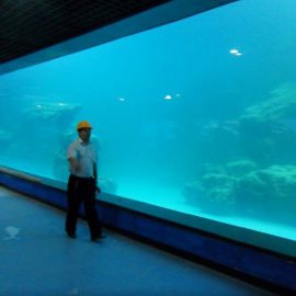 Акриловая литая стеновая панель для аквариума / океанариума