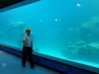 Литая стеновая УФ акриловая панель для аквариума, океанариума