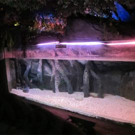 Акриловая панель для бассейна / для окон Underwater Sea World