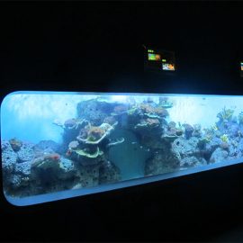 Искусственный литой акрил Цилиндрический прозрачный аквариум с рыбками / вид из окна