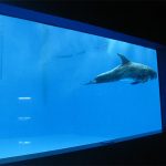 высокое качество Большой акриловый аквариум / окна для бассейна подводные толстые окна