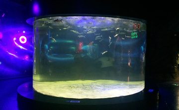 Акриловый аквариум