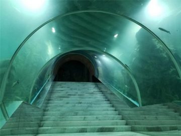 Акриловый туннельный аквариум