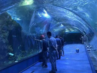 Акриловый туннельный проект океанариума в общественных аквариумах