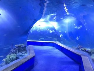 Прозрачный акрил ПММА Большой пластиковый тоннель аквариума