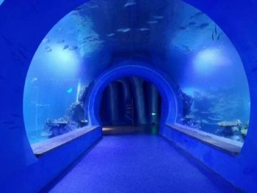 Прозрачный большой акриловый туннельный аквариум различной формы