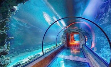 Современный дизайн акрилового аквариума длинный туннель
