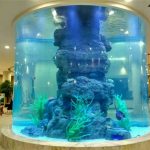 хрустальный аквариум